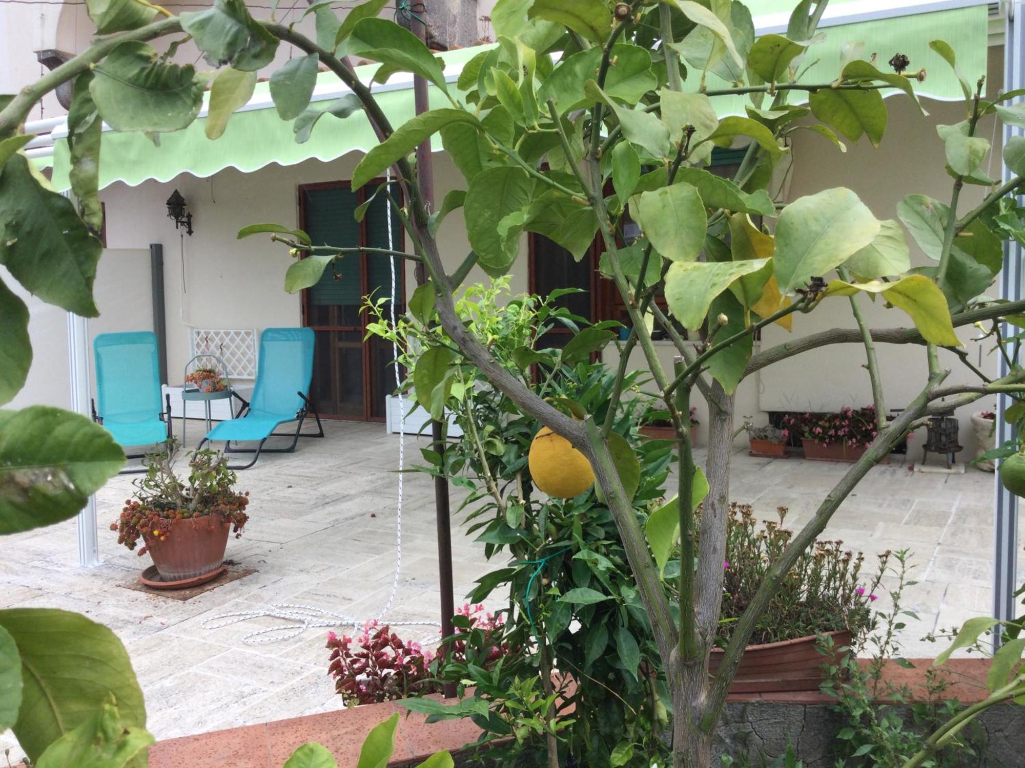 Oplontis' Garden - Holiday Apartment Near Pompeii Торре-Аннунціата Екстер'єр фото